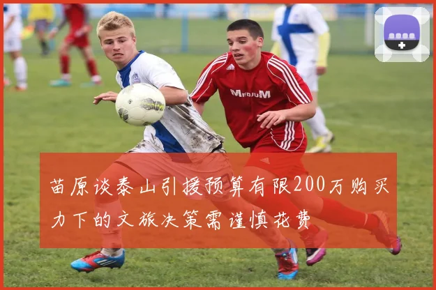 苗原谈泰山引援预算有限200万购买力下的文旅决策需谨慎花费