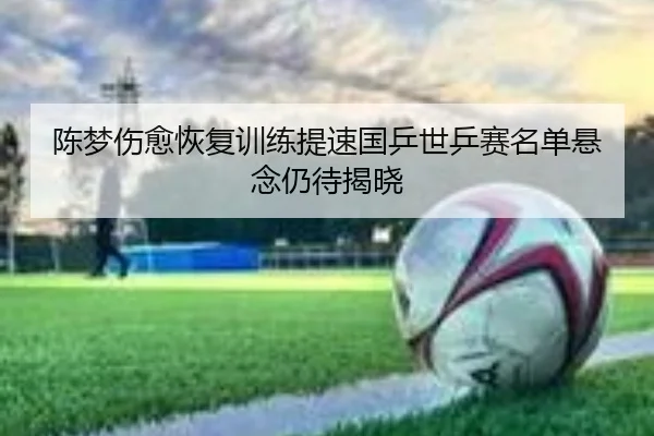 陈梦伤愈恢复训练提速国乒世乒赛名单悬念仍待揭晓
